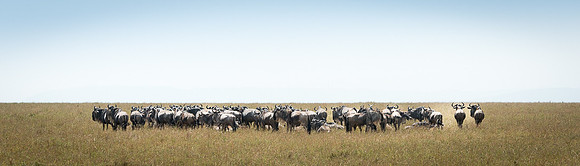 20130916_Kenya_0024