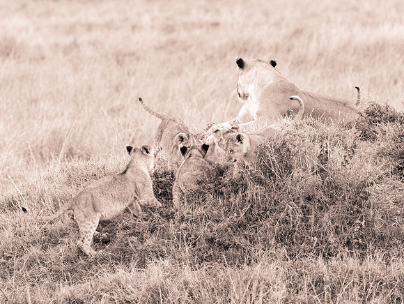 20130919_Kenya_0076