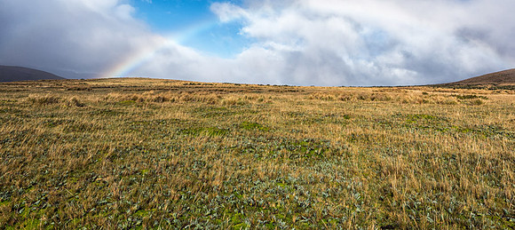 20150109_Ecuador_0020