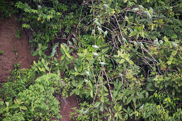 20150117_Ecuador_0001