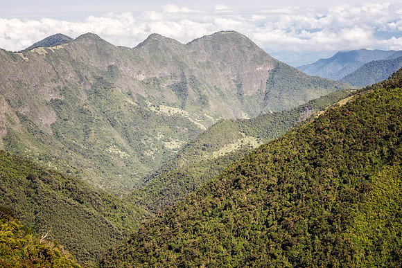 20150105_Ecuador_0004