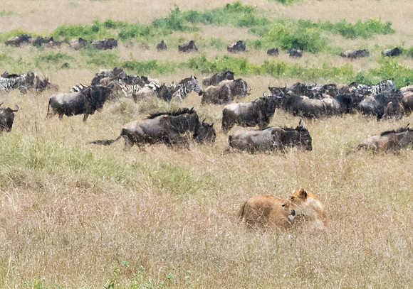 20130919_Kenya_0032
