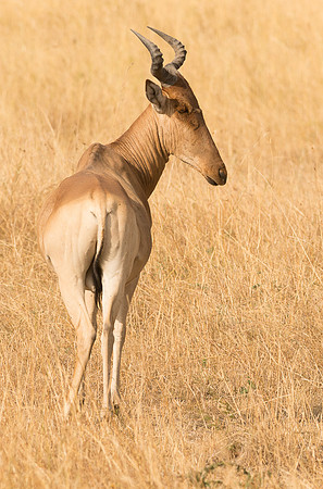 20130916_Kenya_0047