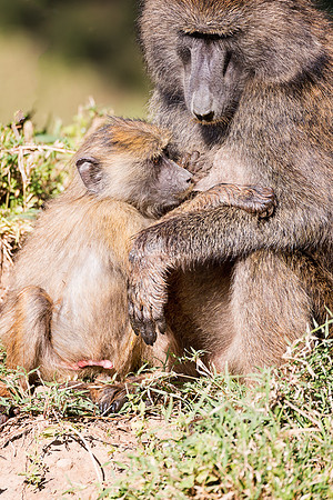 20130911_Kenya_0006