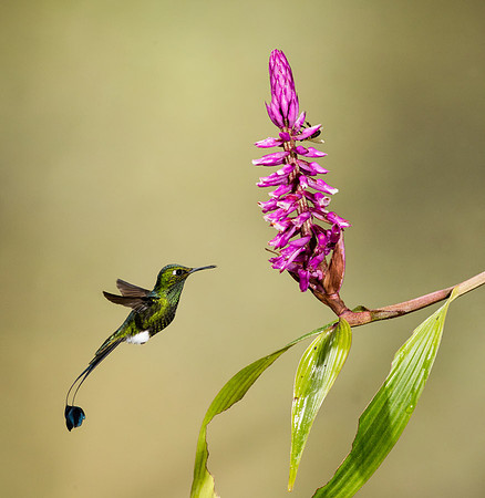 20150106_Ecuador_0001