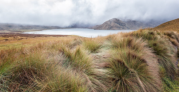 20150109_Ecuador_0030