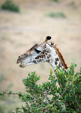 20130916_Kenya_0002