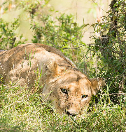 20130916_Kenya_0027
