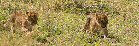 20130916_Kenya_0028