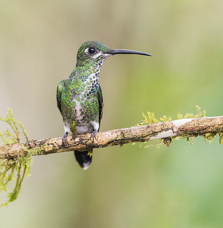 20150105_Ecuador_0001