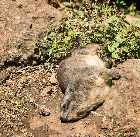 20130911_Kenya_0019