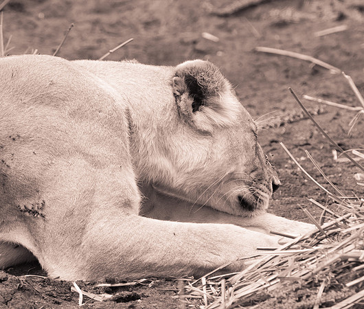 20130919_Kenya_0039