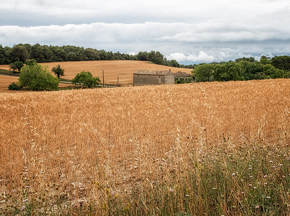20140625_France_0014