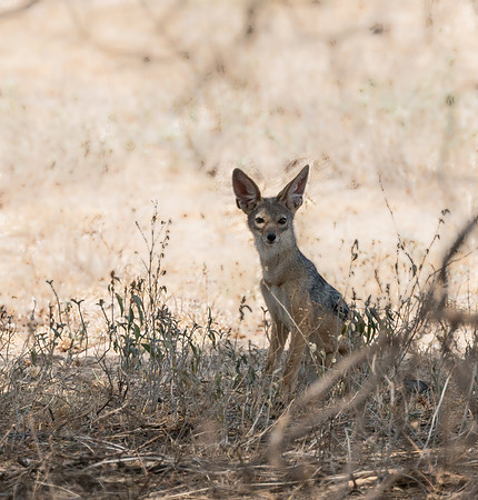 20130908_Kenya_0001