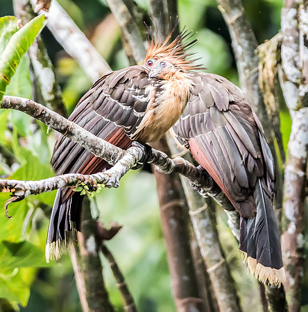20150116_Ecuador_0006