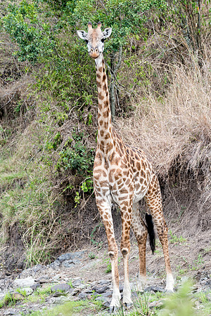 20130918_Kenya_0018