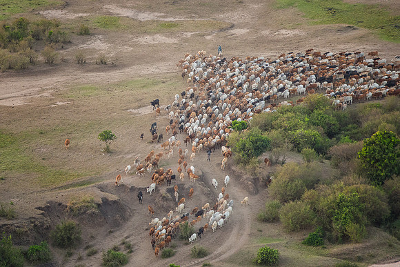 20130916_Kenya_0003