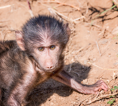 20130911_Kenya_0010