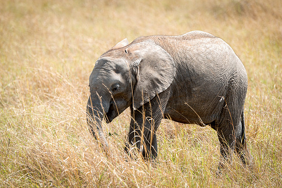 20130915_Kenya_0002
