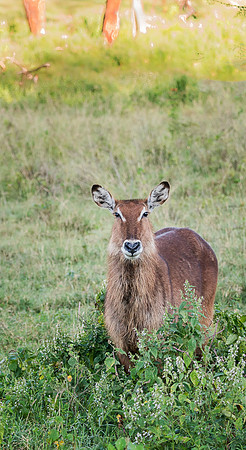20130911_Kenya_0002