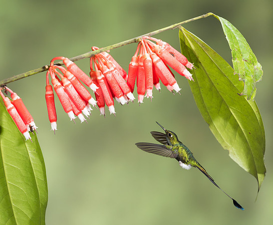 20150107_Ecuador_0001