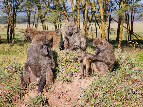 20130911_Kenya_0004