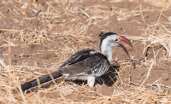 20130908_Kenya_0001-5