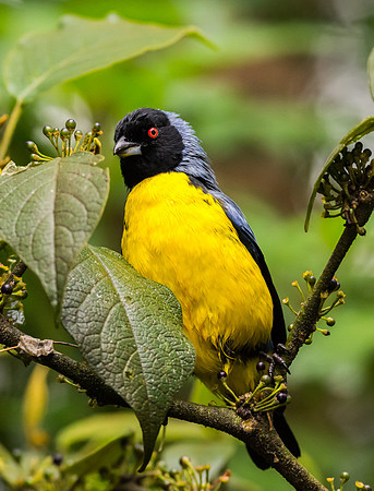 20150110_Portfolio Photos_0090