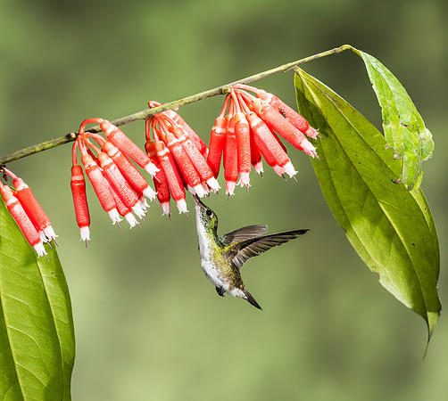 20150107_Ecuador_0001