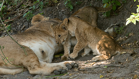 20130916_Kenya_0031