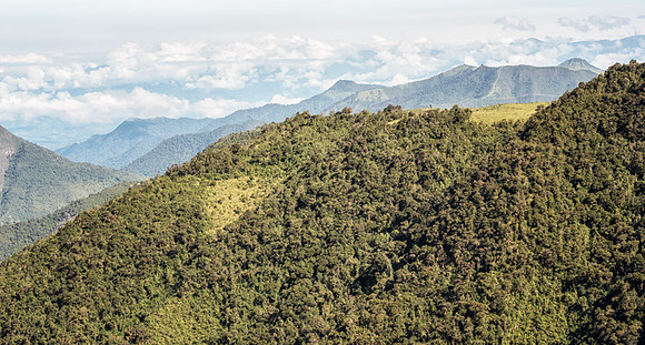 20150105_Ecuador_0003