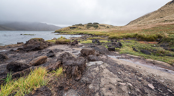 20150109_Ecuador_0035