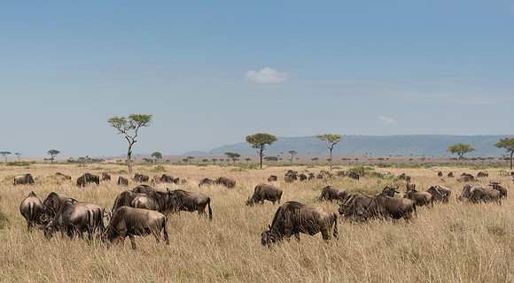 20130919_Kenya_0010