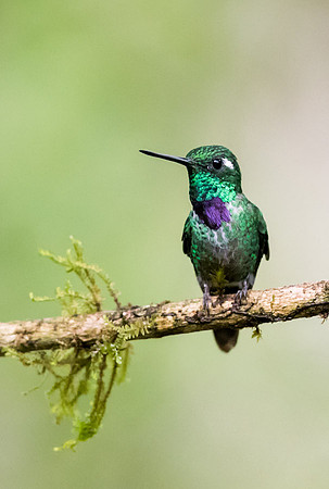 20150105_Ecuador_0001