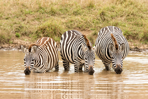 20130918_Kenya_0015