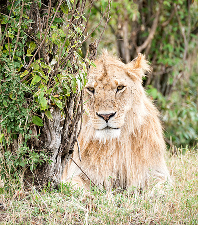 20130918_Kenya_0001