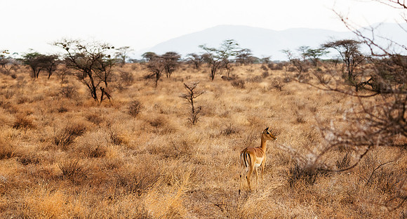 20130908_Kenya_0021