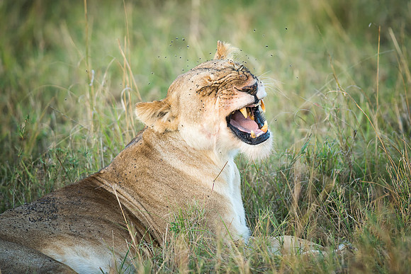 20130913_Kenya_0029-3