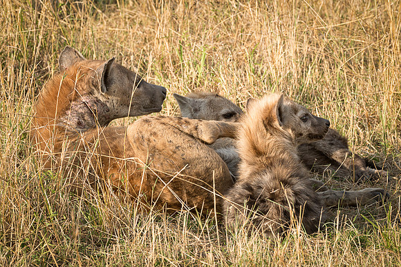 20130915_Kenya_0011