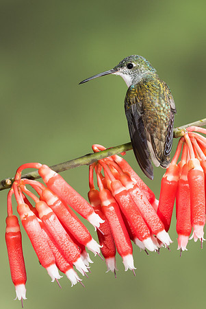 20150107_Ecuador_0001