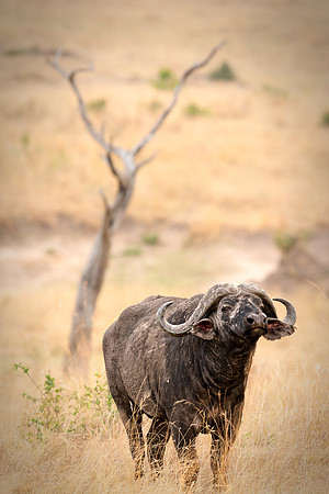 20130916_Kenya_0042
