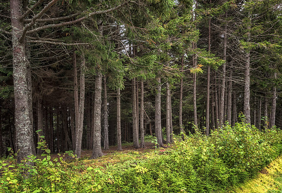 20140823_France_0086