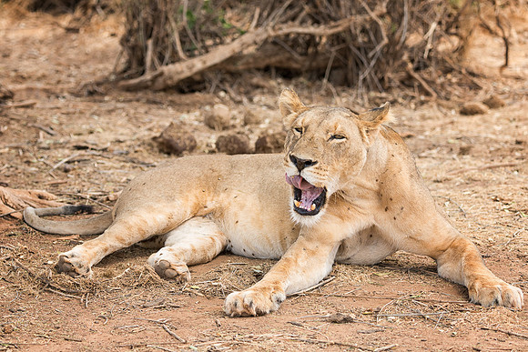 20130909_Kenya_0001