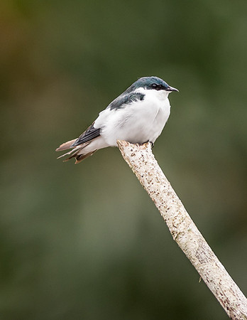 20150116_Ecuador_0001