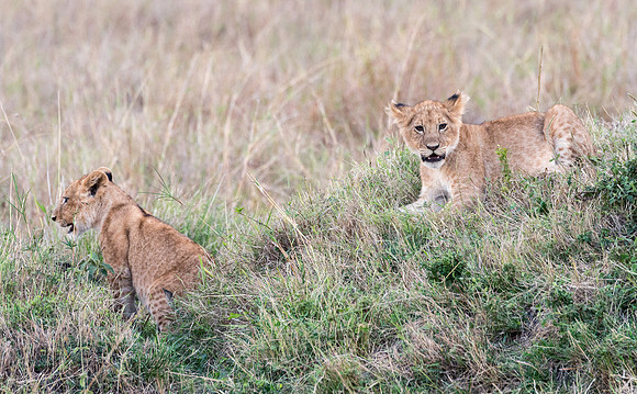 20130919_Kenya_0074