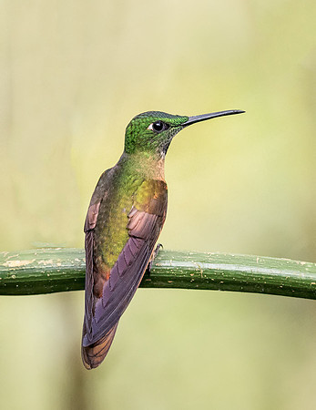 20150106_Ecuador_0011