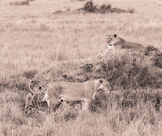 20130919_Kenya_0068