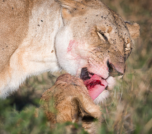 20130913_Kenya_0025-4