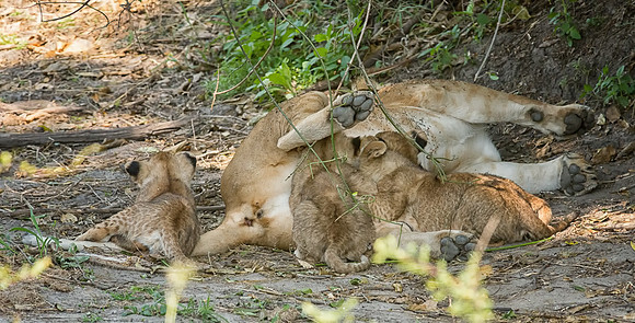 20130916_Kenya_0034