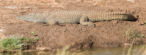 20130908_Kenya_0001-4